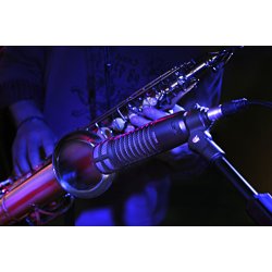 Electro-Voice RE320 Stage/Studio Microphone Dyn.