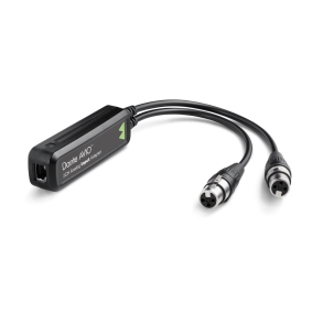 Audinate Dante AVIO 2 ch Input Adapter
