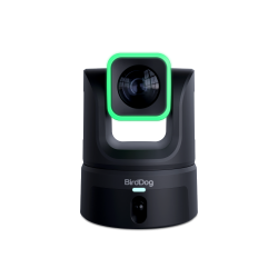 BirdDog XL Ultra PTZ Camera - Black