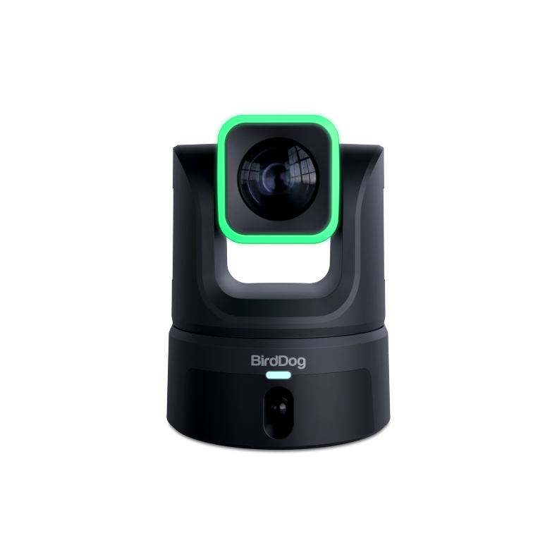 BirdDog XL Ultra PTZ Camera - Black
