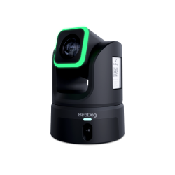 BirdDog XL Ultra PTZ Camera - Black