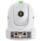 BirdDog P110 - White 1080P PTZ Cam With 10X Zoom, NDI, SDI, HDMI, USB, PoE, SRT, NDI Hx2/3, H.264