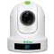 BirdDog P110 - White 1080P PTZ Cam With 10X Zoom, NDI, SDI, HDMI, USB, PoE, SRT, NDI Hx2/3, H.264
