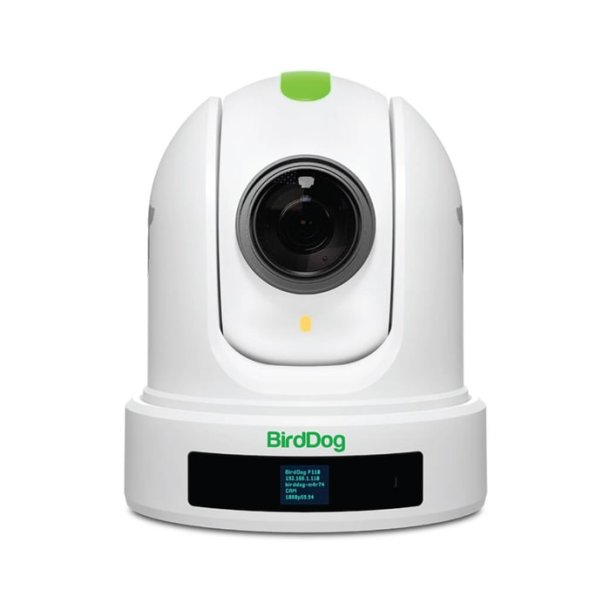 BirdDog P110 - White 1080P PTZ Cam With 10X Zoom, NDI, SDI, HDMI, USB, PoE, SRT, NDI Hx2/3, H.264