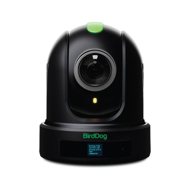 BirdDog P120 - Black 1080P PTZ Cam With 20X Zoom, NDI, SDI, HDMI, USB, PoE, SRT, NDI Hx2/3, H.264