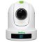 BirdDog P120 - White 1080P PTZ Cam With 20X Zoom, NDI, SDI, HDMI, USB, PoE, SRT, NDI Hx2/3, H.264