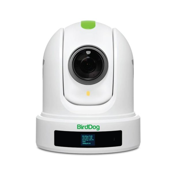 BirdDog P120 - White 1080P PTZ Cam With 20X Zoom, NDI, SDI, HDMI, USB, PoE, SRT, NDI Hx2/3, H.264