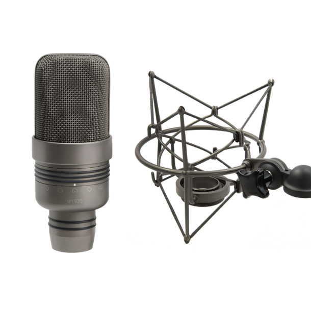 Microtech Gefell UM930 Studio condenser microphone, dark bronze, with EA92