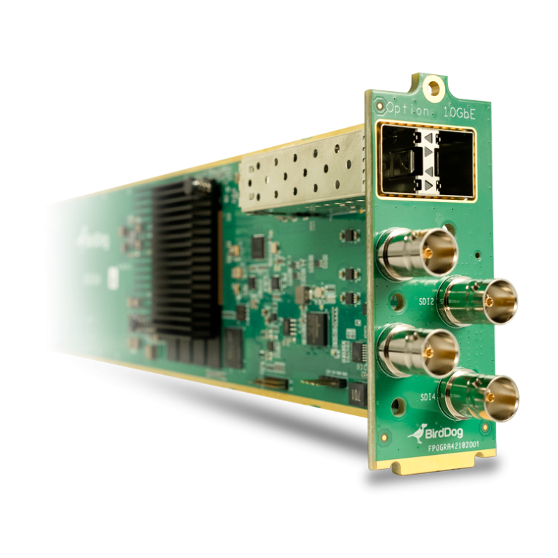 BirdDog 4-Channel 12G SDI openGear Card