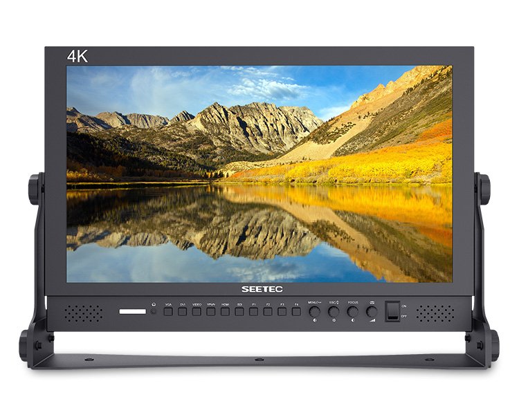 Seetec P173-9HSD 17.3