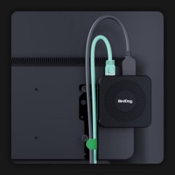 BirdDog PLAY Pro HX3, 4Kp60, HDMI out, the simplest way to put NDI video on a display