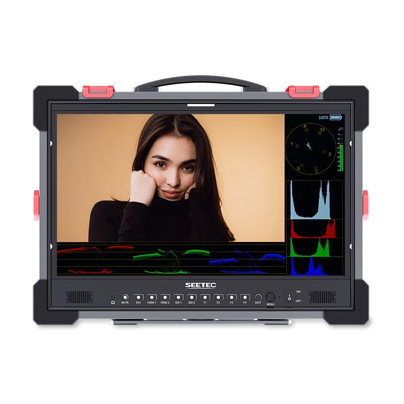 Seetec P215-PRO-CO 21.5" IPS Full HD, 1920*1080, 1000 cd/m2, 25 ms,  Carry-on Broadcast Director Mon