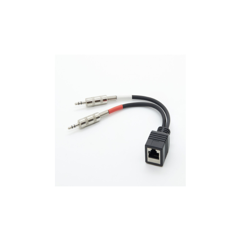 Studiohub 993008 Adapter RJ-45 Female to dual 1/8in. Male - 8in.- Balanced