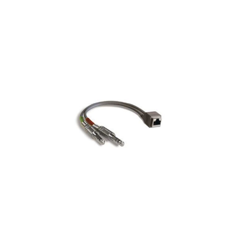 Studiohub 993006 Adapter RJ-45 Female to dual 1/4in TRS Male - 8in. Balanced