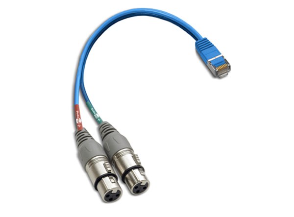 Studiohub 993057 Adapter RJ-45 Male to dual XLR Female - 6in - Balanced ...