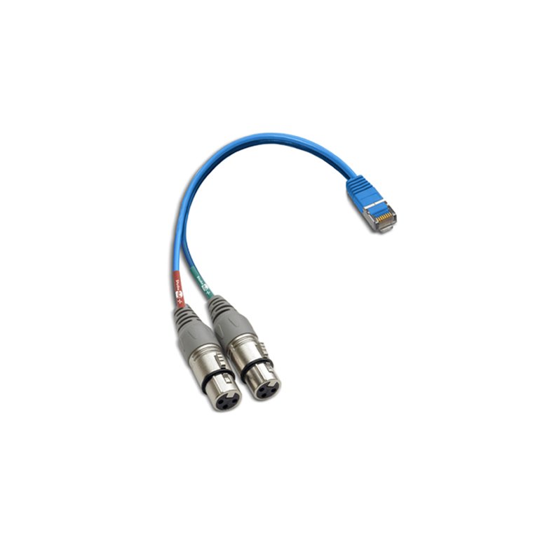 Studiohub 993057 Adapter RJ-45 Male to dual XLR Female - 6in - Balanced