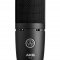 AKG P120 condenser microphone