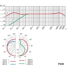 AKG P220 High-performance large diaphragm true condenser microphone