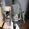 Neumann TLM 102 Studio Condenser Microphone (Nickel)